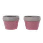 Vaso Rosa e Cinza Mini